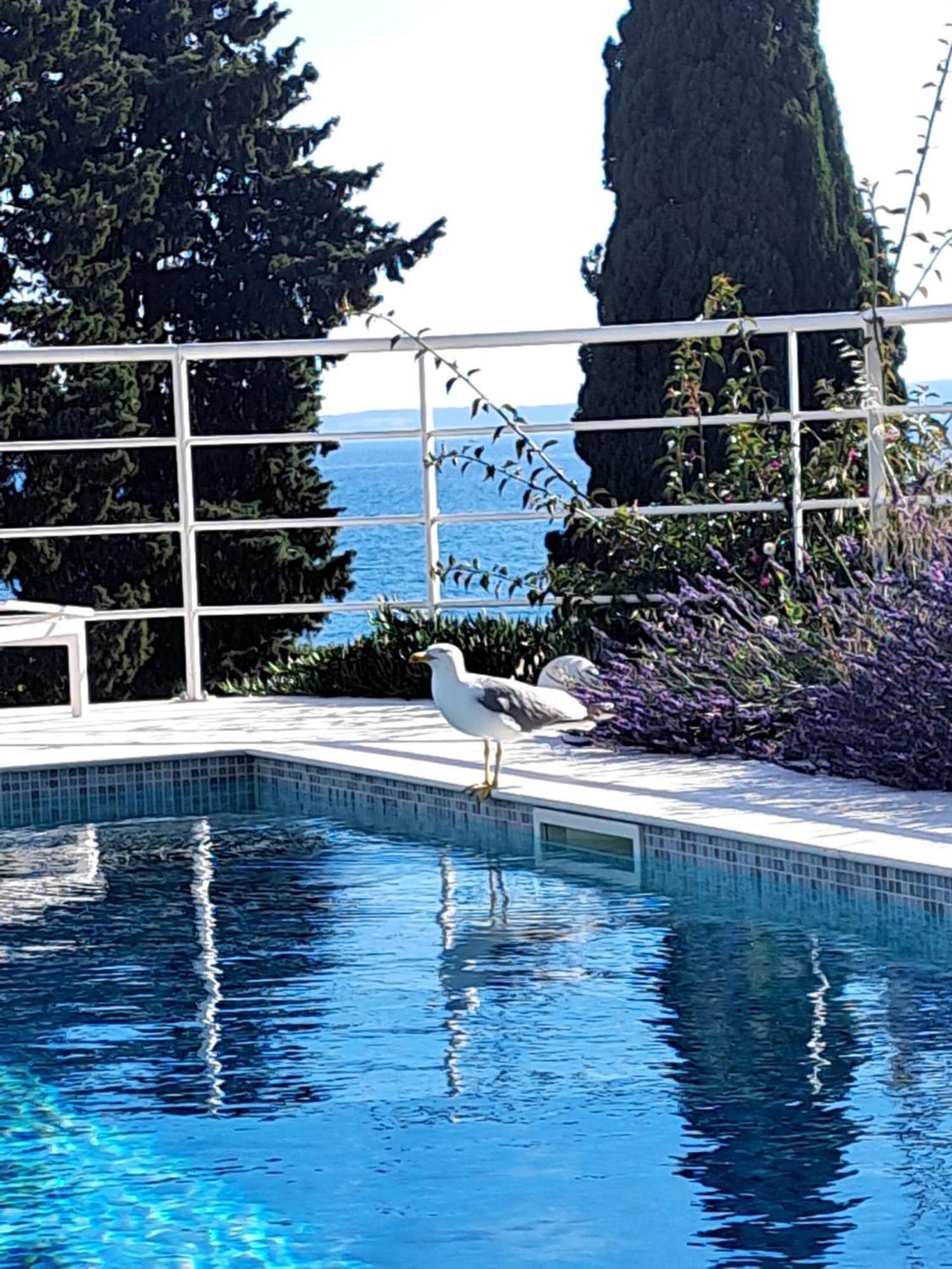 Apartment With Private Pool Split Exterior photo